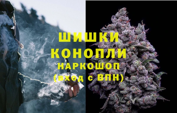 тгк Аркадак