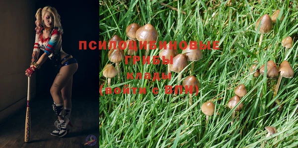 трава Балабаново