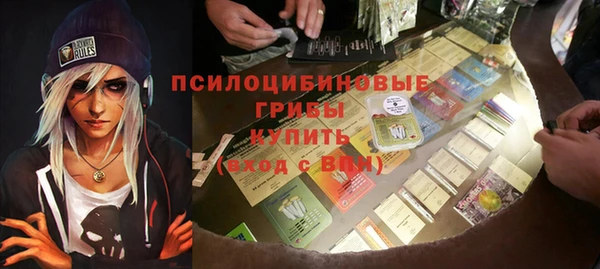 крисы Балахна