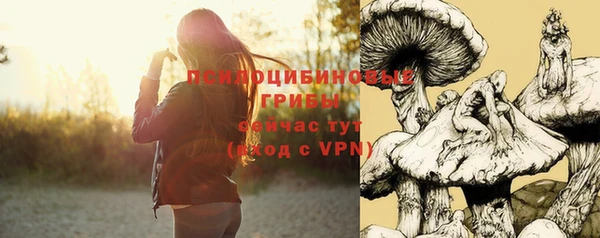 гидропоника Покачи