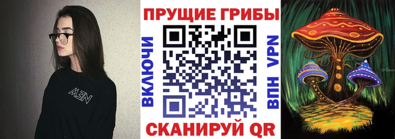 Галлюциногенные грибы Psilocybine cubensis что такое кракен ссылки Новый Оскол