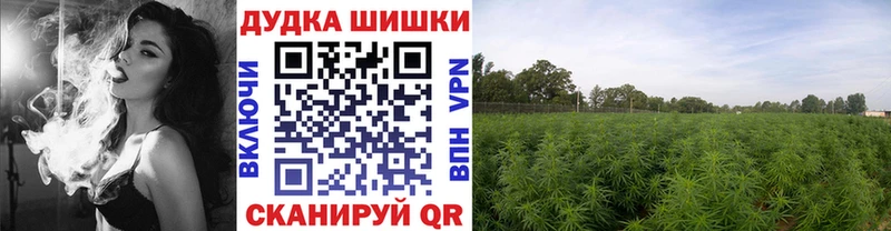 Канабис MAZAR  купить наркотики сайты  hydra зеркало  Новый Оскол 
